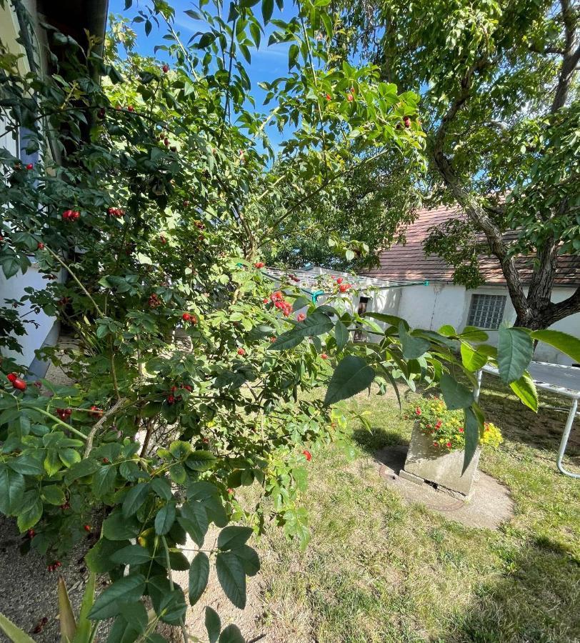 Ferienwohnung Rosenauer Purbach am Neusiedlersee Ngoại thất bức ảnh